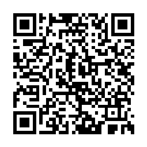 之前见过的好像僵尸一样的巫师手上捧着一个赤二维码生成