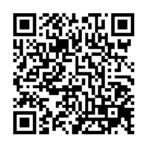 之前说话的那个李会长也是居于这样的考虑才阻止他们的二维码生成