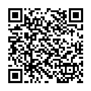 之前责斥荀离最多的孔德御和乔居泽都平静地起身二维码生成