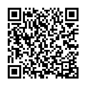 之前跟王叔一起坐苏落和南宫流云对面的那位年轻的黑羽卫二维码生成