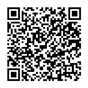 之前还对ac米兰的命运感到绝望的ac米兰球迷们这个时候就仿佛活了过来一样二维码生成