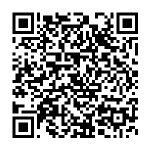 之前还巧笑嫣然的柳诗芸脸上的笑容便立即化为了极为阴森的冷厉二维码生成