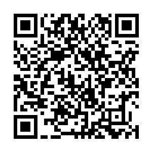 之前还犹豫着不知道该不该冲上去救援的几个壮汉小弟二维码生成