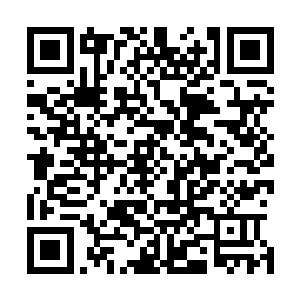 之前还猜测觅行领袖会胜出的修士全都不敢相信自己的眼睛二维码生成
