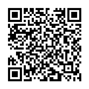 之前还真是被苏落那些取巧的小手段差点给骗过去了呢二维码生成