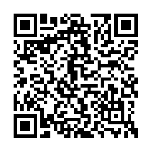 之前还跪的整整齐齐的那一大帮人顿时就激动了二维码生成