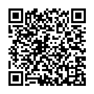 之前那个发夏季赛中单选手排名并且说得头头是道的家伙出来二维码生成