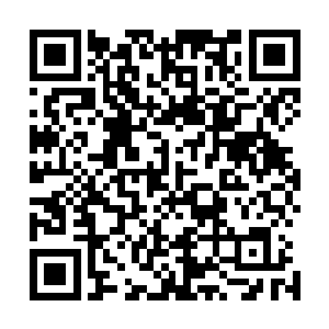 之前那个被风天翔指手画脚的医护人员却皱着眉头拦住了他二维码生成