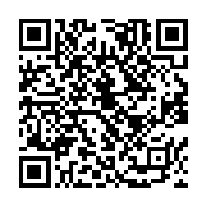 之前那九个人布置的阵法也是瞬间被这个巨大的龙卷风毁灭二维码生成