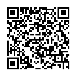 之前那些白色幽灵的出现与这海圣同族是什么关系二维码生成