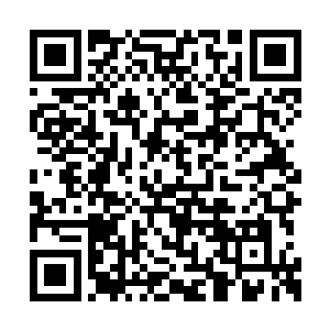 之前那几个云仙宗的首席弟子应该也是你杀的吧二维码生成