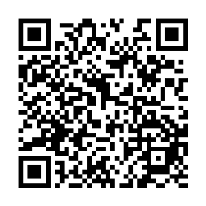 之前那副准备看张姓老者笑话的模样瞬间消失不见二维码生成