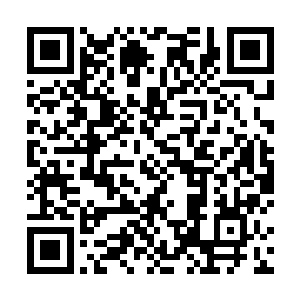 之前那股气息昭示着周不臣完全拥有突破散人境的功力二维码生成