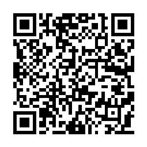 之前都觉得代离走了狗屎运占了临江仙便宜的人二维码生成