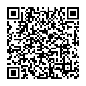 之前龙傲天在尊级中期顶峰的时候就敢将玄阴之气引入自己的体内二维码生成