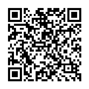 之后两人在山洞内研究着如何进入那位高人布置下来的一个空间二维码生成