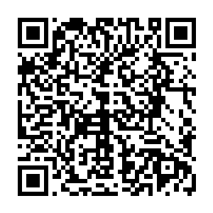 之后从元神中调出了关于那个传承处由功法玉简布设出来的大阵讯息调了出来二维码生成
