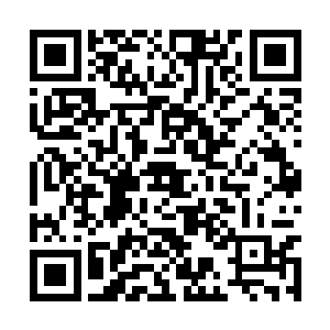 之后他很快就看到了远远在一旁看向这边的李念薇二维码生成