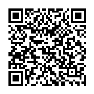 之后伸出小爪子拉着洪大力的胳膊就往树林深处里面走二维码生成