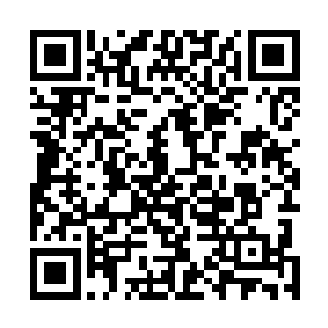 之后便看着燕山魂啃着大蟠桃笑∴山魂倒是不理会许紫烟二维码生成