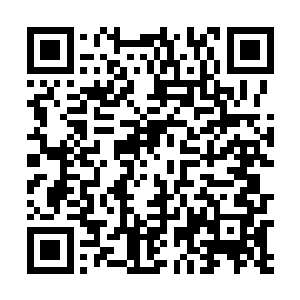 之后几乎就是射出的子弹一般瞬间跳到了李念薇的面前二维码生成