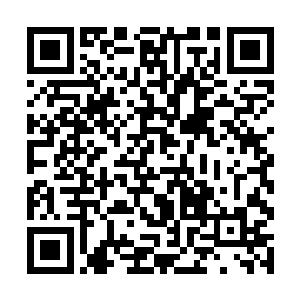 之后又拿出了一些放入那三十六个弟子修习的大殿中二维码生成