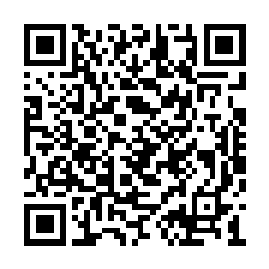 之后在圣庭的帮助下金牛圣骑才没有被继续追杀二维码生成