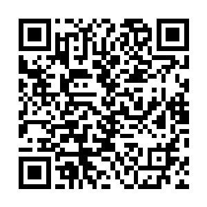 之后大致已经被渡客猜出武帝城城主身份的老人一步一拳二维码生成