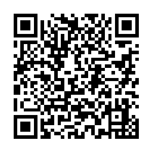 之后快速化作无穷无尽的血丝交织而成一张巨大的网格二维码生成