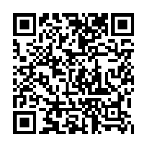 之后才会有粉红票希望各位战友能够来支持铃动二维码生成