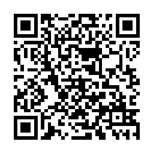 之后本来赛方还准备了两件高级骨器想要撑撑场子二维码生成