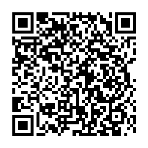 之后每一个季度的蔬菜穆扬灵的庄子都要比别人早上二十天左右出现二维码生成