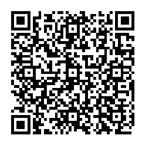 之后洪大力找到五行轮后来到这里又遇到了东方不败莫天机――的高级智能管家……二维码生成