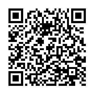 之后白子河从警方得知苏凡的车朝着断天的方向而去二维码生成