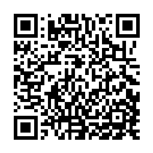 之后的几周也出于各种各样的目的反复重看过――有和女友约会二维码生成