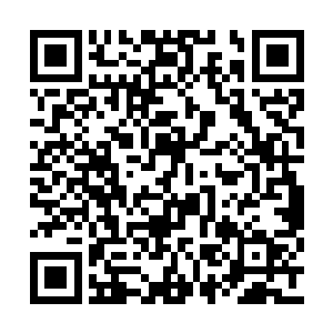 之外必然还会准备几件可以救命用的功能型道具二维码生成