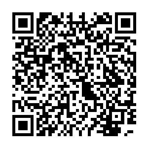 之所以一直没有公布这个结果是因为凶手是原来火狐族的人――银冰二维码生成