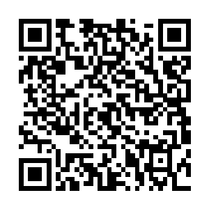 之所以之前一直敢放吴媚一个人在旁边而去对付坎普和泰坦二维码生成