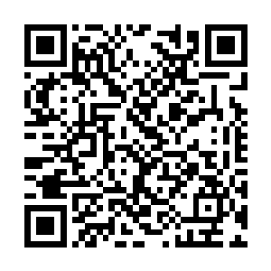 之所以在陆为民还在江浙调研时就打电话给陆为民二维码生成