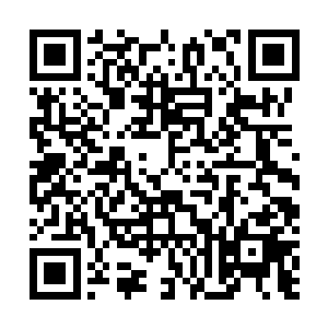 之所以张老会带楚暮这个绝世境一炼初阶的小剑修来这里二维码生成
