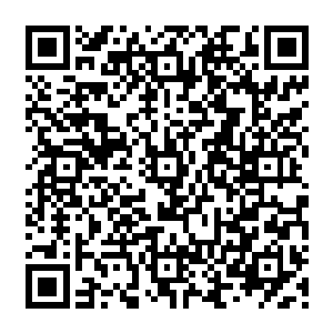 之所以说s4版本的打野与s3的打野相比起来一个是亲妈生的一个是后妈生的地位差距巨大二维码生成