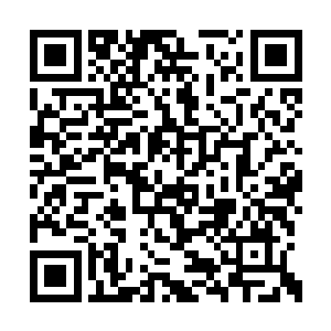 之所以选择攻击旱魃族也是因为旱魃王空有武力二维码生成