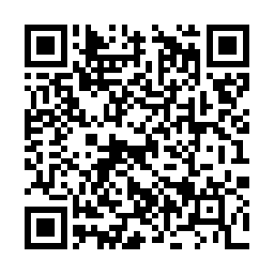 之所以高扬要在极为紧张的时刻还要抽时间去英国二维码生成