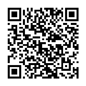 之间一只巨大的鸟儿从太极图的虚影当中飞了出来二维码生成