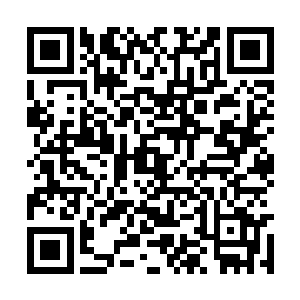 乌克兰和俄罗斯方面关于黑海舰队的分割还在谈判二维码生成