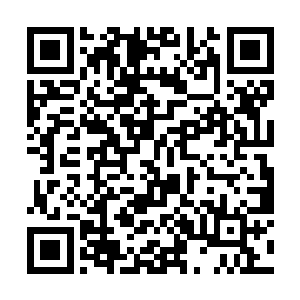 乌墨眼见吴岩放出一头堪比结丹期境界的傀儡机关兽二维码生成