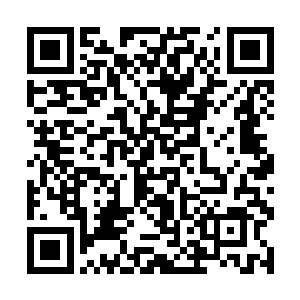 乌灵胆战心惊的看着凌菲在龙野的上半身扎满了细针二维码生成