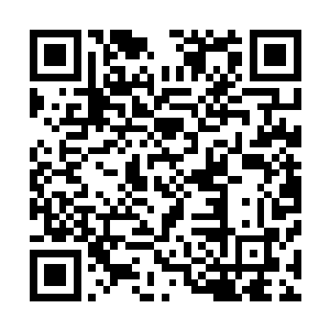 乌黑柔顺的长发梳理成一个粗大的发髻用发网包住坠在脑后二维码生成