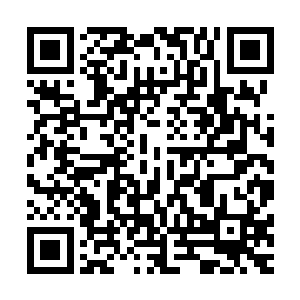 乍一眼看过去还以为是铺了一层深深浅浅的火红地毯的山峰呢二维码生成