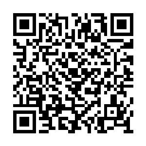乐东正这样的强者在他眼中可是高高在上的存在二维码生成